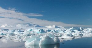 Lee más sobre el artículo Identifican 200.000 nuevas especies de virus marinos, muchas de ellas en el Ártico