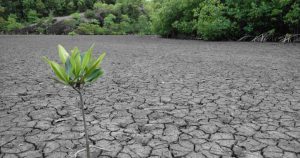 Lee más sobre el artículo La sequía en el Caribe obliga a racionar el agua y a acometer inversiones millonarias para afrontar la situación
