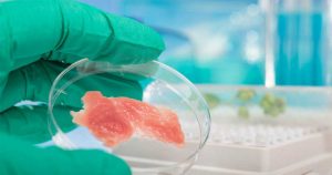 Lee más sobre el artículo Carne artificial, el alimento de laboratorio que aspira a salvar al planeta