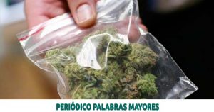 Lee más sobre el artículo Caen presuntos integrantes de red ilegal señalada de obtener y sacar marihuana