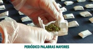 Lee más sobre el artículo Condenados 12 integrantes de organización criminal dedicada al tráfico de estupefacientes en Santa Rosa de Cabal