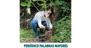 Lee más sobre el artículo Este año, la Alcaldía de Dosquebradas sembrará 4.000 árboles en las zonas protegidas