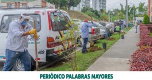 Lee más sobre el artículo OBREROS DE LA DIRECCIÓN DE PARQUES TRABAJAN DIARIAMENTE EN EL EMBELLECIMIENTO DE LA CIUDAD DE PEREIRA