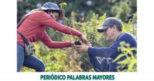 Lee más sobre el artículo Alcaldía de Dosquebradas siembra 200 árboles en zonas de protección del recurso hídrico