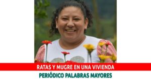 Lee más sobre el artículo Dosquebradas: Ratas y mugre en una vivienda