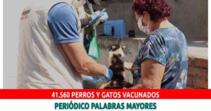 Lee más sobre el artículo PEREIRA: 41.560 PERROS Y GATOS HAN SIDO VACUNADOS CONTRA LA RABIA