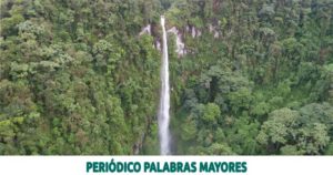 Lee más sobre el artículo En Risaralda el aprovechamiento comercial de los bosques no está permitido y es un delito