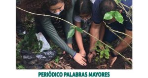 Lee más sobre el artículo La CARDER continúa con su programa de reforestación en todo el departamento