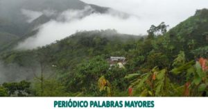 Lee más sobre el artículo La ONG Internacional Solidaridad se vincula al programa BanCO2 de la CARDER