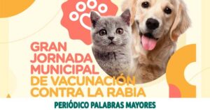 Lee más sobre el artículo PEREIRA PROTEGE A SUS MASCOTAS CONTRA LA RABIA CON LA JORNADA DEPARTAMENTAL DE VACUNACIÓN DE ESTE SÁBADO