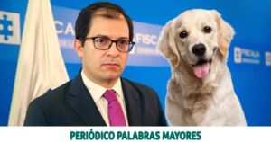 Lee más sobre el artículo FISCAL ORDENA INVESTIGAR Y JUDICIALIZAR A TODO EL QUE MALTRATE UN ANIMAL