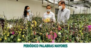 Lee más sobre el artículo LA EMPRESA PEREIRANA “VIVERO 7 COLINAS” IMPLEMENTA PANELES SOLARES PARA SUS PROCESOS DE PRODUCCIÓN