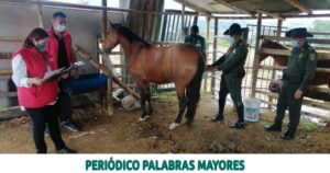 Lee más sobre el artículo EL BIOPARQUE UKUMARÍ, LA PATRULLA DE RESCATE ANIMAL Y LA ALCALDÍA DE PEREIRA, ATENDIERON LLAMADOS TODO EL FIN DE SEMANA
