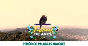 Lee más sobre el artículo La CARDER invita al Festival de Aves en la Serranía del Alto del Nudo del 26 al 28 de noviembre