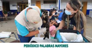 Lee más sobre el artículo MÁS DE 600 ATENCIONES EN LA FERIA RURAL DE SALUD EN COMBIA BAJA