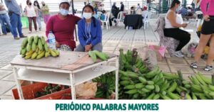 Lee más sobre el artículo EL PARQUE MIRADOR DE ALTAGRACIA SE REACTIVÓ CON EL MERCADO CAMPESINO Y LA FERIA ARTESANAL