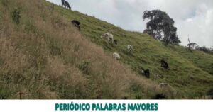 Lee más sobre el artículo La CARDER busca que las granjas trabajen de manera armónica con el medio ambiente