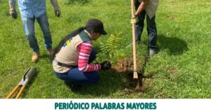 Lee más sobre el artículo Administración Municipal lidera Jornada de embellecimiento en el barrio Millenium