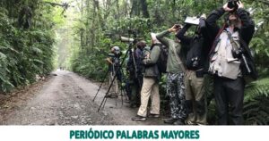 Lee más sobre el artículo ESTE JUEVES TOMA VUELO EL BIRD FESTIVAL