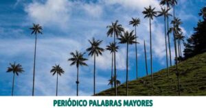 Lee más sobre el artículo 6 DATOS CURIOSOS DE LA PALMA DE CERA