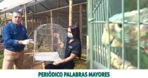 Lee más sobre el artículo No sacrifiques a la fauna silvestre en Semana Santa