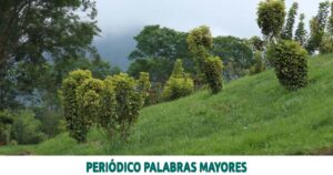 Lee más sobre el artículo DE VASOS CLAUSURADOS A HERMOSOS BOSQUES: PROCESO DE RECUPERACIÓN EN EL RELLENO SANITARIO