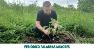 Lee más sobre el artículo ASEO PEREIRA CULMINÓ EXPO AMBIENTAL CON LA SIEMBRA DE 150 ÁRBOLES