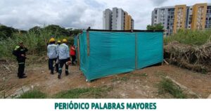 Lee más sobre el artículo DESMONTE DE ESTRUCTURAS INFORMALES EN BATARÁ Y EL CHOCHO