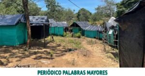 Lee más sobre el artículo FISCALÍA VA POR LOS INVASORES DE TIERRAS