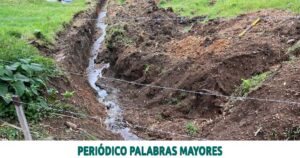 Lee más sobre el artículo La CARDER evitó nuevamente afectaciones a los recursos naturales en Pereira y Dosquebradas
