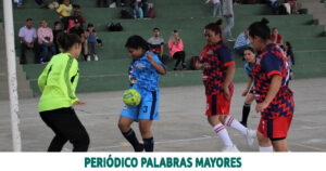 Lee más sobre el artículo Los juegos campesinos de Risaralda en todo su furor