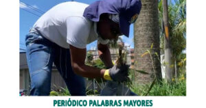 Lee más sobre el artículo USUARIOS DE LA GRANJA DE HABITANTE DE CALLE SON REINCORPORADOS A LA VIDA LABORAL