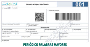 Lee más sobre el artículo DIAN: NO SE EXIGIRÁ LA ACTUALIZACIÓN DEL RUT