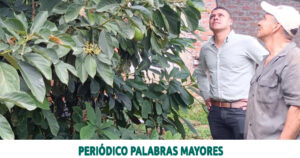 Lee más sobre el artículo PEQUEÑOS PRODUCTORES SE PREPARAN PARA VENDERLE AL ESTADO