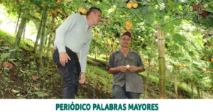 Lee más sobre el artículo PROGRAMA DE ASISTENCIA TÉCNICA AGRÍCOLA, REGISTRA 5.000 VISITAS DE ASESORÍA