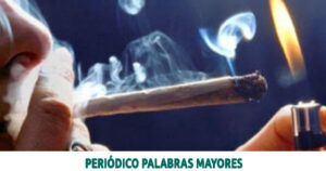 Lee más sobre el artículo COMPRA Y CONSUMO DE MARIHUANA LIBRE PARA ADULTOS