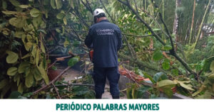 Lee más sobre el artículo Organismos de socorro atendieron 20 emergencias por el vendaval