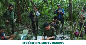 Lee más sobre el artículo Aparecieron con vida los niños perdidos en Guaviare: Fuerzas Militares confirmaron la noticia