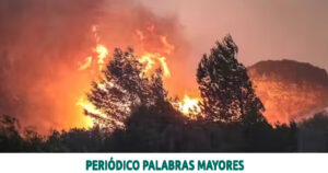 Lee más sobre el artículo Petro confirmó declaratoria de desastre natural para atender emergencia por incendios forestales