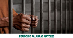 Lee más sobre el artículo Judicializado hombre que habría causado la muerte de un ocelote