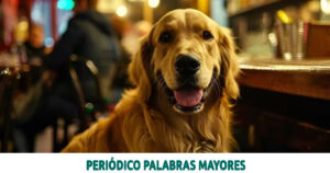 Lee más sobre el artículo Cómo se verán perros y gatos en el futuro según la inteligencia artificial
