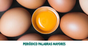 Lee más sobre el artículo ¿Comer un huevo por día es bueno para la salud?