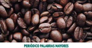 Lee más sobre el artículo Judicializados tres presuntos responsables del hurto en un café en Pereira