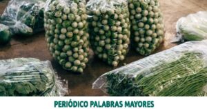 Lee más sobre el artículo Conozca cómo regirá la ley de prohibición de plásticos en Colombia
