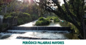 Lee más sobre el artículo Risaralda avanza en la implementación de estrategias para dar respuesta al cambio climático