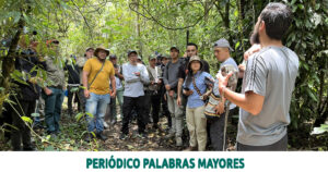 Lee más sobre el artículo Monitoreo de Puma y Oso Andino en el DRMI Cuchilla del San Juan y el PNN Tatamá: un avance clave para la conservación de grandes mamíferos en Colombia
