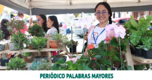 Lee más sobre el artículo Emprendedores y artesanos de Risaralda tendrán espacios para comercializar sus productos