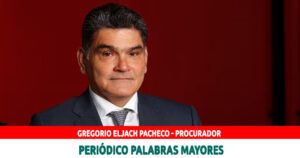 Lee más sobre el artículo «No podemos permitir que se pase por encima de la legitimidad», Gregorio Eljach*