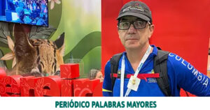 Lee más sobre el artículo Pereira será sede del II Congreso Internacional de Senderismo y Montaña Colombia 2025