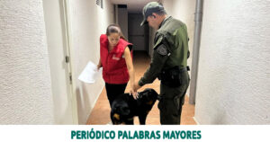 Lee más sobre el artículo Alcaldía de Dosquebradas liberó a Prometeo de maltrato animal